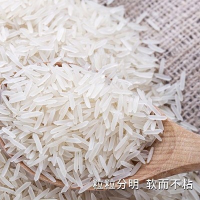 猫牙米长粒大5斤10斤装农家大米软香米丝苗南方大米籼米批发跨境图2