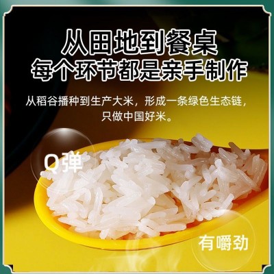 猫牙米长粒大5斤10斤装农家大米软香米丝苗南方大米籼米批发跨境图4