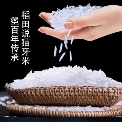 猫牙米长粒大5斤10斤装农家大米软香米丝苗南方大米籼米批发跨境图3