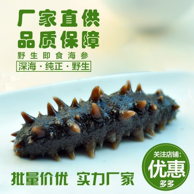 即食海参大连刺参底播野生真空冷冻即食海参免泡发非干货顺丰发货图3