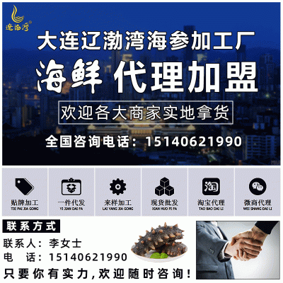 辽渤湾大连纯淡干海参干货源头工厂批发辽刺参礼盒非即食海参图2