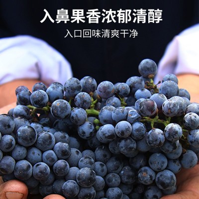 慕拉赤霞珠干红葡萄酒750ml甜型晚安红酒干红批发 非法国智利红酒图3