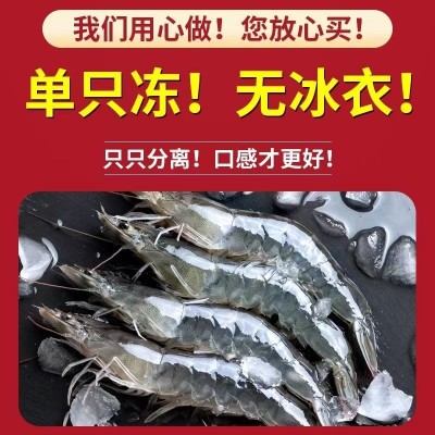 虾鲜活无冰款青岛大虾新鲜盐冻海虾水产一箱对虾基围白海捕速卖通图3