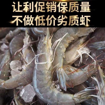 海虾丹东生呛大虾开背夹馅大虾泰式无皮虾新鲜生腌对虾白虾虾酱图2