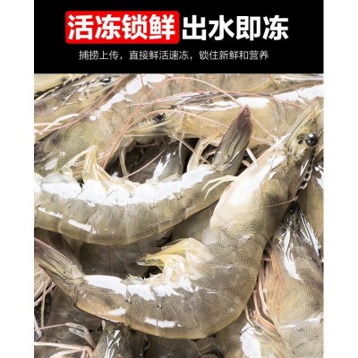 海虾丹东生呛大虾开背夹馅大虾泰式无皮虾新鲜生腌对虾白虾虾酱图5
