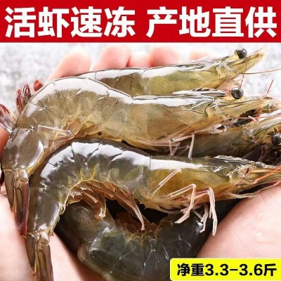 大虾青岛大海虾鲜活冷冻白虾对虾新鲜海捕海鲜厂家直销代发亚马逊图4