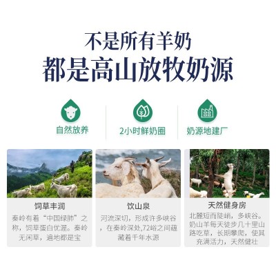 御宝羊奶纯山羊奶纯奶新鲜奶源脱膻儿童早餐奶成年人图4
