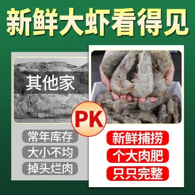 大虾8斤特大虾新鲜白虾鲜活冷冻对虾基围虾青虾海鲜一件批发 跨境图2