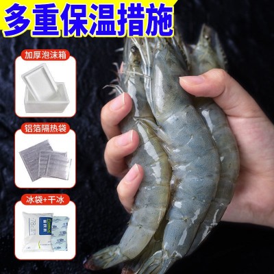 大虾8斤特大虾新鲜白虾鲜活冷冻对虾基围虾青虾海鲜一件批发 跨境图3