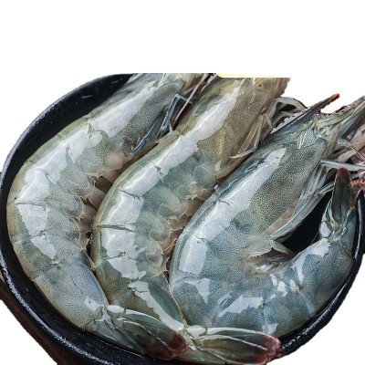 大虾8斤特大虾新鲜白虾鲜活冷冻对虾基围虾青虾海鲜一件批发 跨境图4
