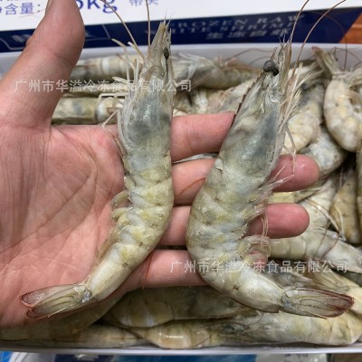 桂宏远生冻白虾 净重3斤*6盒/件 火锅麻辣海鲜速冻连头大虾图2