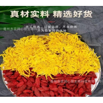 枸杞菊花茶大朵金丝皇菊一朵一杯花茶胎菊茶红枸杞茶图5