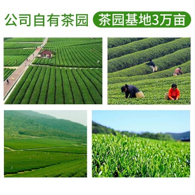 茉莉花茶浓香型茶乾坤 横县茉莉绿茶 二窨三窨四窨奶茶餐饮茶底图2