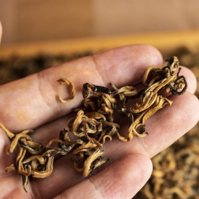 云南凤庆红茶滇红茶源头茶农批2022新茶散装红茶功夫茶金螺40斤箱图3