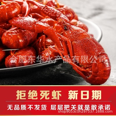 批发麻辣小龙虾即食盒装鲜活烧制蒜蓉十三香小龙虾熟食清水虾商用图3