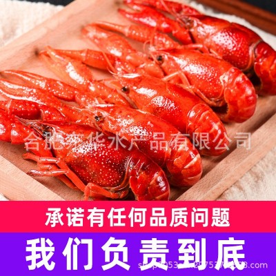 批发麻辣小龙虾即食盒装鲜活烧制蒜蓉十三香小龙虾熟食清水虾商用图4