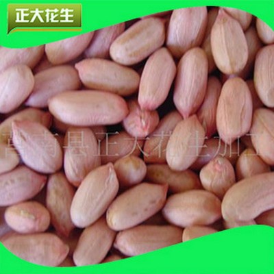 生产销售 花生米 散装花生米 干生花生米厂家图2