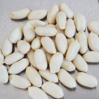 山东厂家批发新鲜去皮花生 脱皮花生仁 大批量销售花生原料图4