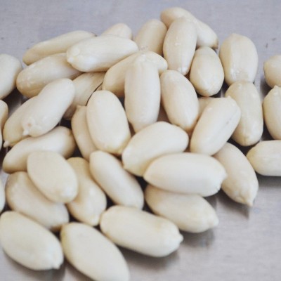 山东厂家批发新鲜去皮花生 脱皮花生仁 大批量销售花生原料图2