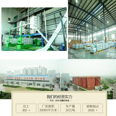 仙餐金御香胚玉米油烘焙油家用胚芽油压榨食用油5L非转基因植物油图3