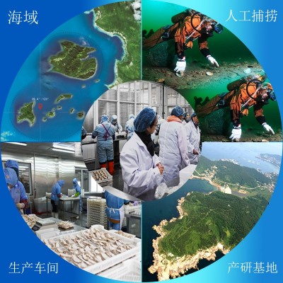 蒜蓉粉丝扇贝肉源头批发中科水产参灵岛粉丝扇贝大连海鲜厂家批发图4