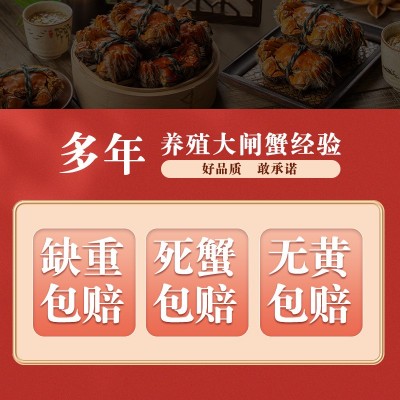 厂家现货批发水产自家养殖河蟹公蟹母蟹现捞发货一件代发 大闸蟹图2