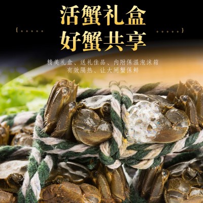 厂家现货批发水产自家养殖河蟹公蟹母蟹现捞发货一件代发 大闸蟹图4