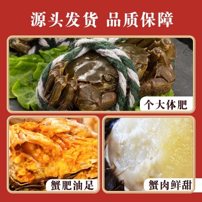 厂家现货批发水产自家养殖河蟹公蟹母蟹现捞发货一件代发 大闸蟹图3
