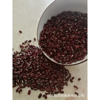 工厂定制加工赤小豆批发 五谷杂粮红饭豆 长赤豆 熟红豆图3