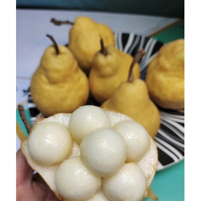 5斤中华丑 梨烟台水果新鲜包邮胜太婆梨秋月梨啤梨雪梨 香梨整箱图2