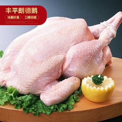 厂家销售白条鹅 农家散养鹅嫩鹅现杀冷冻整只鹅肉新鲜 欢迎选购图2
