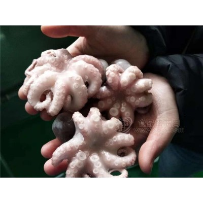 批发短腿八爪鱼 漂烫小章鱼图5