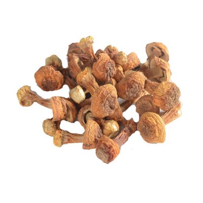 云南干货批发姬松茸 古田巴西蘑菇 产地货源500g装1件厂家批发图3