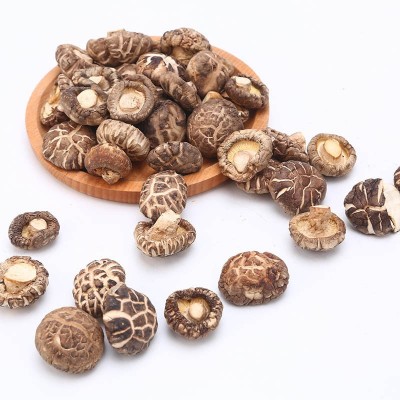 新货2-3-5cm花菇干货500g 西峡香菇干食用菌椴木蘑菇批发图4