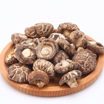 新货2-3-5cm花菇干货500g 西峡香菇干食用菌椴木蘑菇批发图3