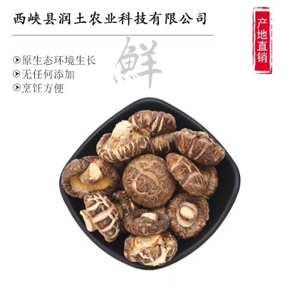 新货2-3-5cm花菇干货500g 西峡香菇干食用菌椴木蘑菇批发图2