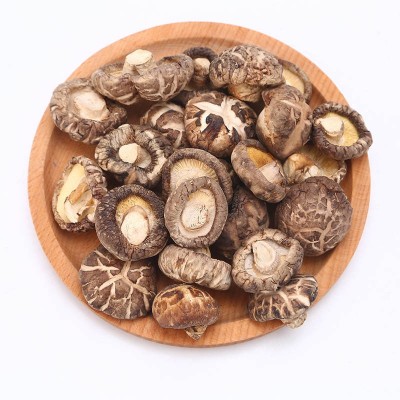新货2-3-5cm花菇干货500g 西峡香菇干食用菌椴木蘑菇批发图5