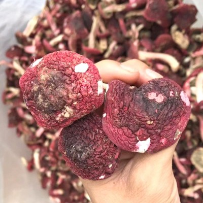 山礼然批发云南大红菇干货 食用菌 红菇丁 紫菇 云南干制红菇现货图2