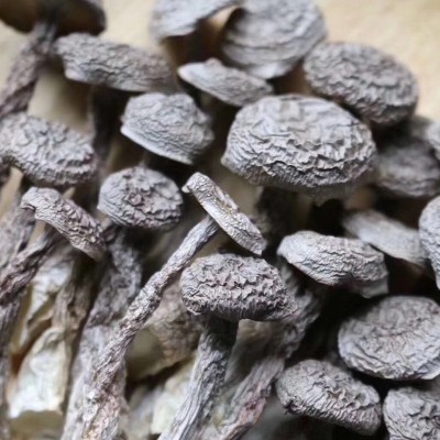 古田基地批发食用菌干货鹿茸菇 云南菇鹿茸菌酒店食材 珊瑚菌250g图3