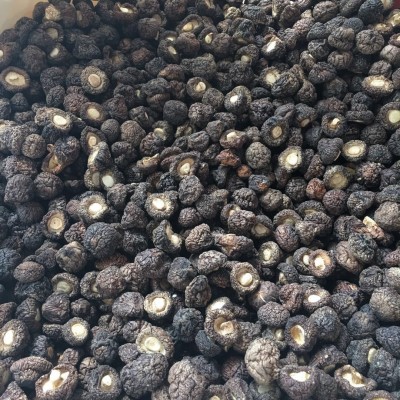 金钱菇干货1.5-2cm 珍珠菇香菇 小香菇冬菇散装厂家批发礼品年货图5