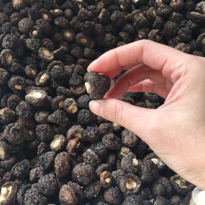金钱菇干货1.5-2cm 珍珠菇香菇 小香菇冬菇散装厂家批发礼品年货图2