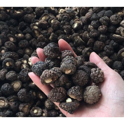 金钱菇干货1.5-2cm 珍珠菇香菇 小香菇冬菇散装厂家批发礼品年货图4