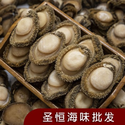 南非鲍鱼5-100头全规格溏心鲍鱼一德路海味干货滋补食材批发代发图2