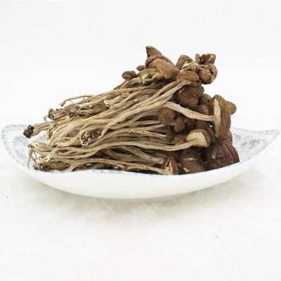 益尔 农家新货茶树菇干货批发茶薪菇不开伞煲汤茶树茹500g图4