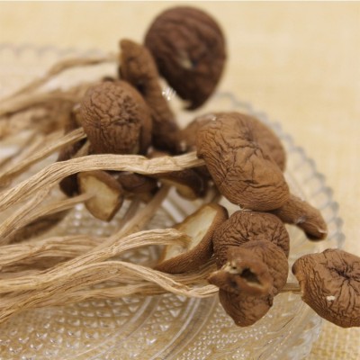益尔 农家新货茶树菇干货批发茶薪菇不开伞煲汤茶树茹500g图3