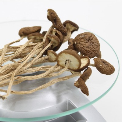 益尔 农家新货茶树菇干货批发茶薪菇不开伞煲汤茶树茹500g图5