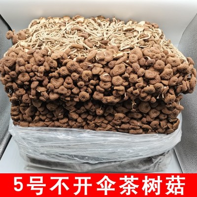 福建干茶树菇批发茶树菇茶树菇干货散装原产地直销批发 500g图4