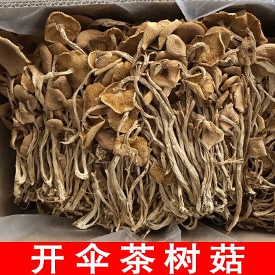 福建干茶树菇批发茶树菇茶树菇干货散装原产地直销批发 500g图5