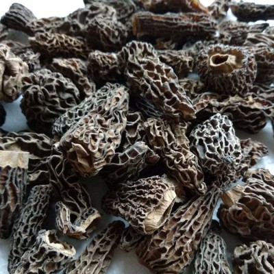 云南特产野生羊肚菌干货全剪柄2-6cm肉质厚羊肚菌批发100g批发图3