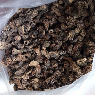 云南特产野生羊肚菌干货全剪柄2-6cm肉质厚羊肚菌批发100g批发图4
